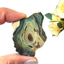 Imperial Jasper Slice