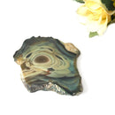 Imperial Jasper Slice