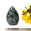 Kambaba Jasper Flames (Immunity & Productivity)