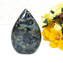 Kambaba Jasper Flames (Immunity & Productivity)