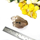 Natural Kundalini Citrine Points / Clusters from Congo