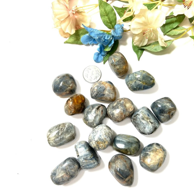 Blue Kyanite Tumble (Communication and Psychic Gifts)