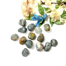 Blue Kyanite Tumble (Communication and Psychic Gifts)