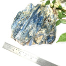 Raw Blue Kyanite on a Stand (Aura Cleanser & High Vibration)