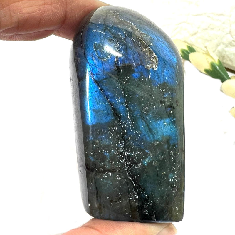 Labradorite AAA Quality Free Forms with Blue Fire or Labradorescence (Intuition)