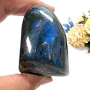 Labradorite AAA Quality Free Forms with Blue Fire or Labradorescence (Intuition)