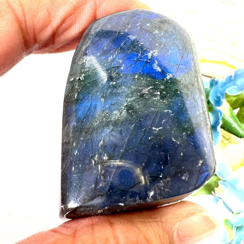 Labradorite AAA Quality Free Forms with Blue Fire or Labradorescence (Intuition)