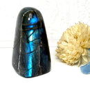 Labradorite AAA Quality Free Forms with Blue Fire or Labradorescence (Intuition)