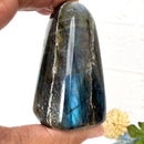 Labradorite AAA Quality Free Forms with Blue Fire or Labradorescence (Intuition)