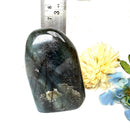 Labradorite AAA Quality Free Forms with Blue Fire or Labradorescence (Intuition)