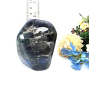 Labradorite AAA Quality Free Forms with Blue Fire or Labradorescence (Intuition)