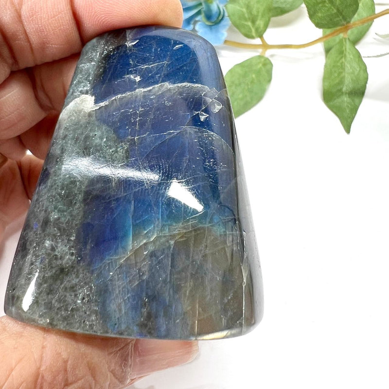 Labradorite AAA Quality Free Forms with Blue Fire or Labradorescence (Intuition)