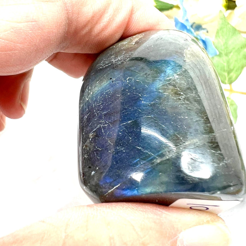 Labradorite AAA Quality Free Forms with Blue Fire or Labradorescence (Intuition)