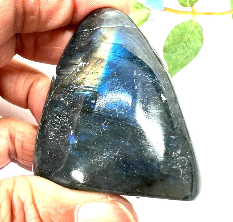 Labradorite AAA Quality Free Forms with Blue Fire or Labradorescence (Intuition)