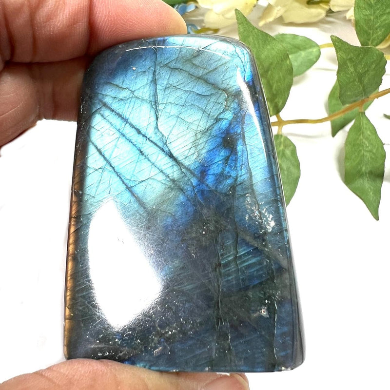 Labradorite AAA Quality Free Forms with Blue Fire or Labradorescence (Intuition)