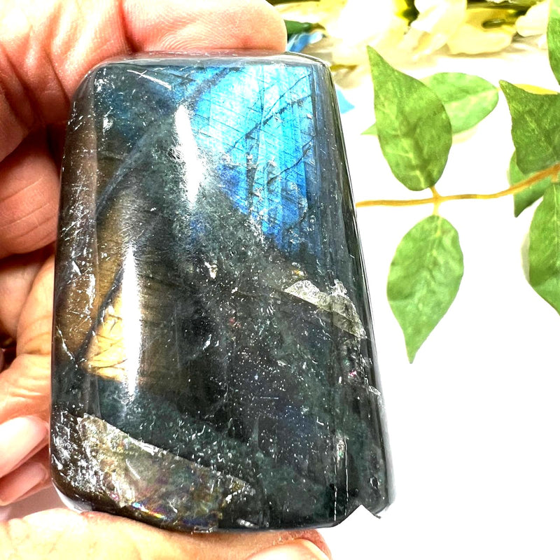 Labradorite AAA Quality Free Forms with Blue Fire or Labradorescence (Intuition)