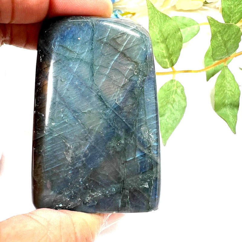 Labradorite AAA Quality Free Forms with Blue Fire or Labradorescence (Intuition)