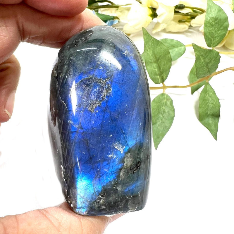 Labradorite AAA Quality Free Forms with Blue Fire or Labradorescence (Intuition)