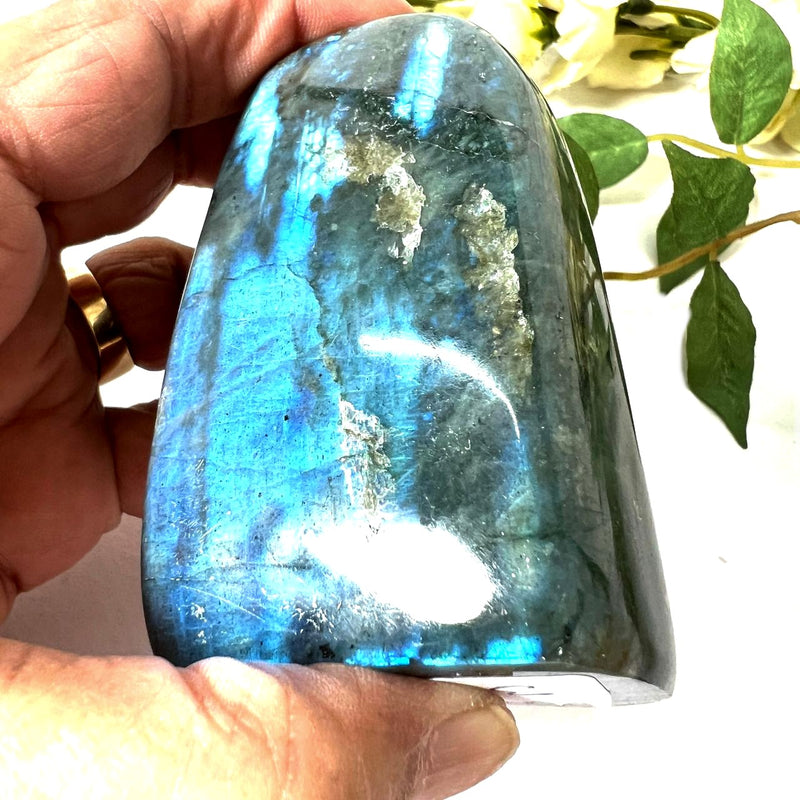 Labradorite AAA Quality Free Forms with Blue Fire or Labradorescence (Intuition)