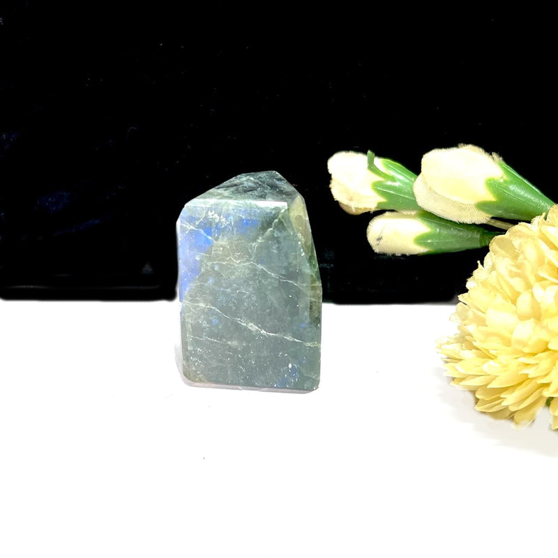 Labradorite Free Forms (Intuition and Awareness)