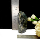 Labradorite Free Forms (Intuition and Awareness)