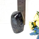 Labradorite AAA Quality Free Forms with Blue Fire or Labradorescence (Intuition)