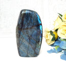 Labradorite AAA Quality Free Forms with Blue Fire or Labradorescence (Intuition)