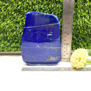 Lapis Lazuli Polished Free Forms (Knowledge & Communication)