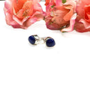 Lapis Lazuli Earrings in Silver