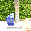 Lapis Lazuli Polished Free Forms (Knowledge & Communication)