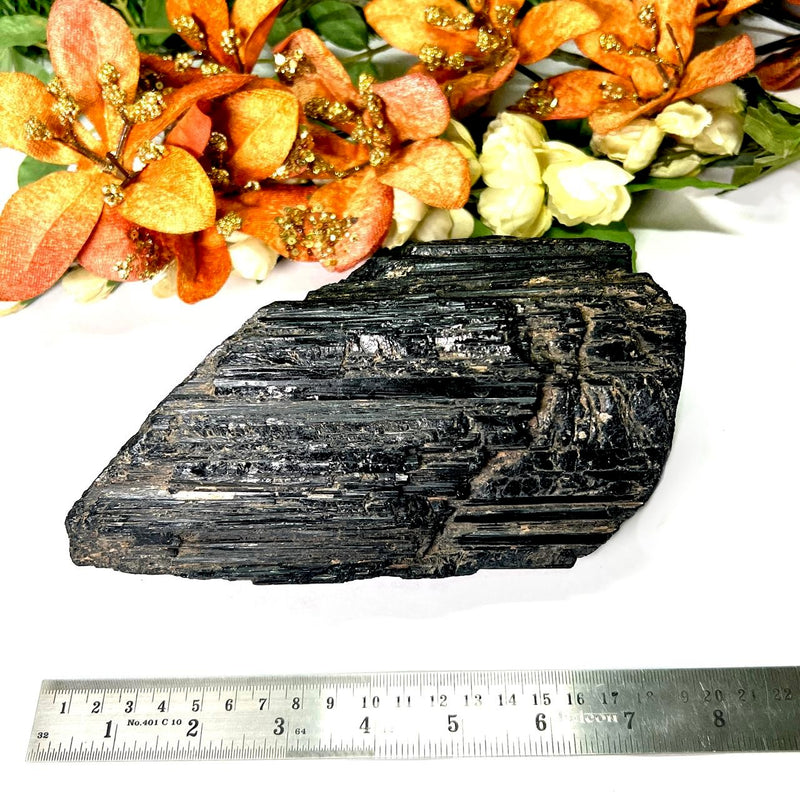 Large Black Tourmaline Rough (Grounding & Protection)