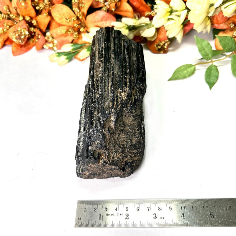 Large Black Tourmaline Rough (Grounding & Protection)