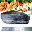 Large Black Tourmaline Rough (Grounding & Protection)