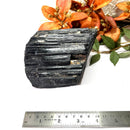 Large Black Tourmaline Rough (Grounding & Protection)