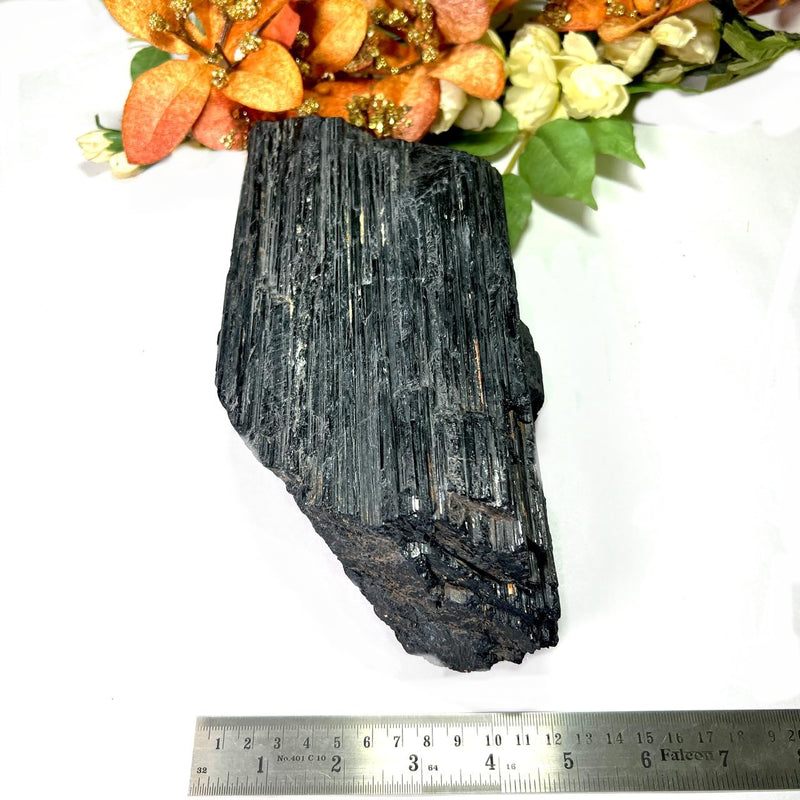 Large Black Tourmaline Rough (Grounding & Protection)