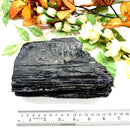 Large Black Tourmaline Rough (Grounding & Protection)