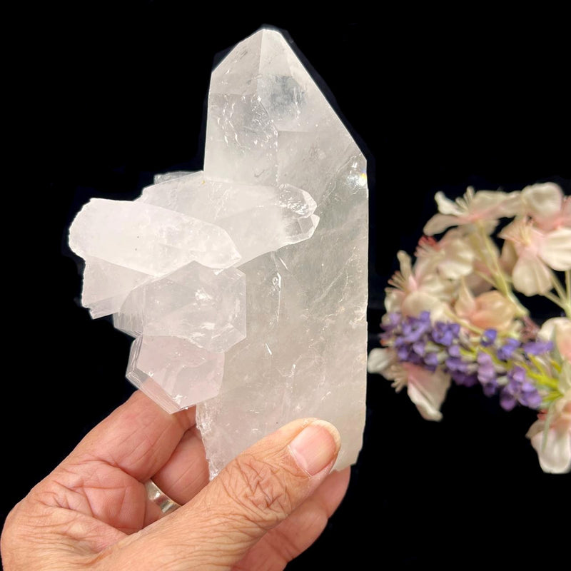 Large Lemurian Clear Quartz (Master Healers)
