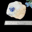 Lazurite on Matrix