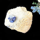 Lazurite on Matrix