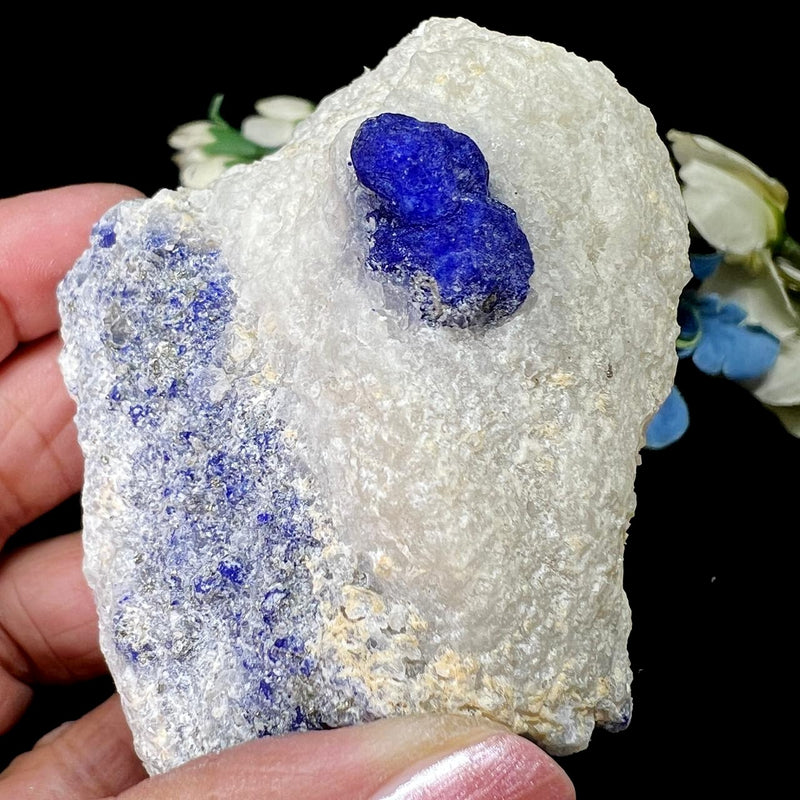 Lazurite on Matrix