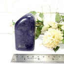 Lepidolite Free Forms (Psychic Skills)