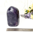 Lepidolite Free Forms (Psychic Skills)