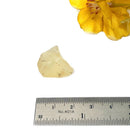 Libyan Desert Glass