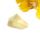Libyan Desert Glass