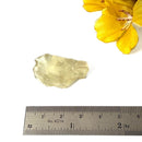 Libyan Desert Glass