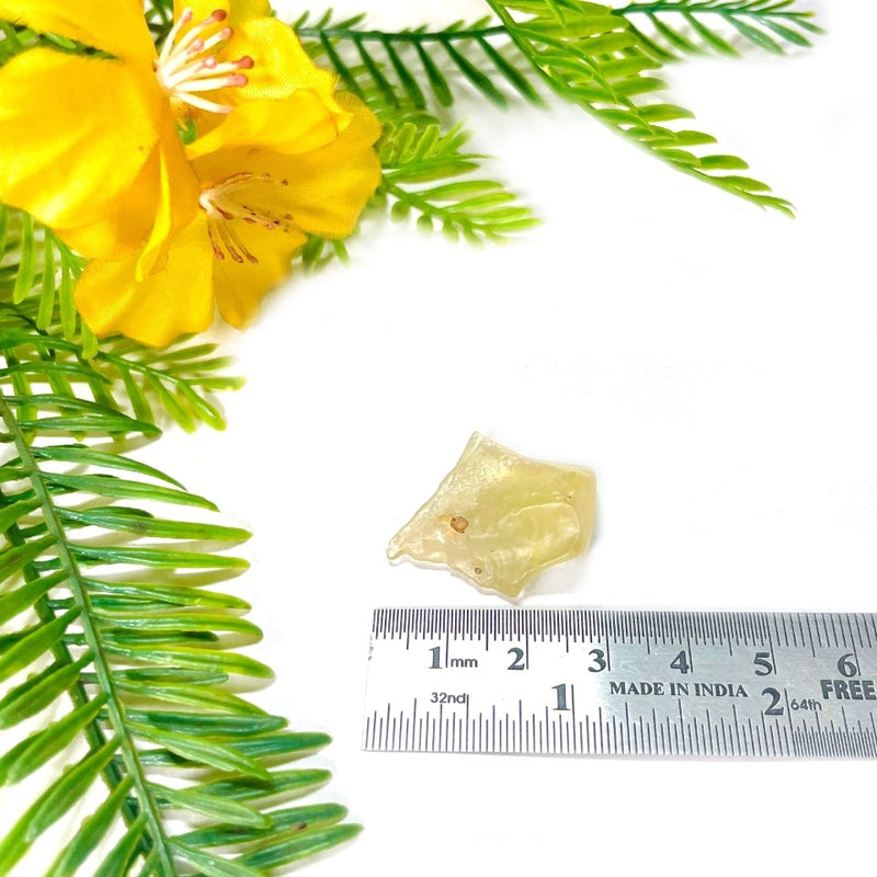 Libyan Desert Glass