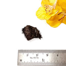 Lodestone (Grounding and Manifestation)