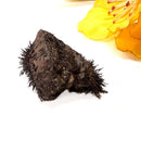 Lodestone (Grounding and Manifestation)