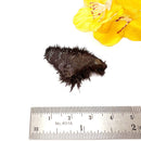 Lodestone (Grounding and Manifestation)