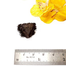 Lodestone (Grounding and Manifestation)